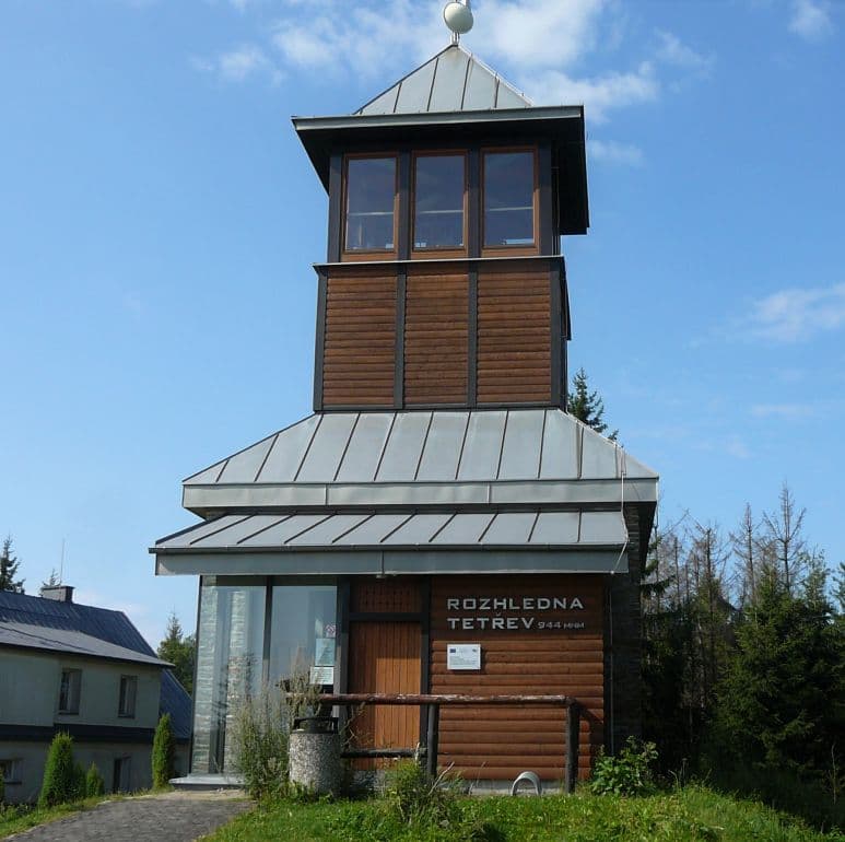 Tetřev