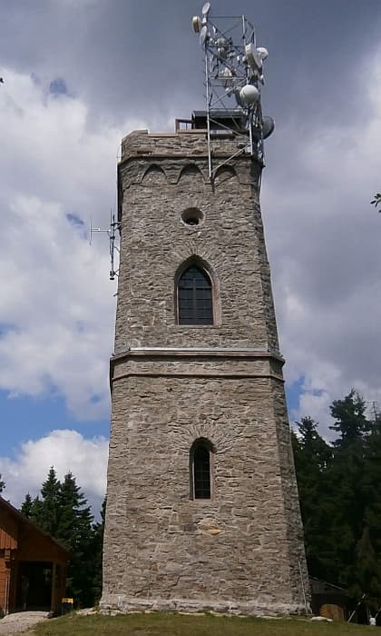 Žalý